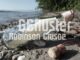 GEflüster Crusoe